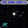 TYC 3109-1387-1