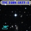 TYC 3109-1877-1