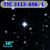 TYC 3113-686-1