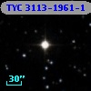 TYC 3113-1961-1
