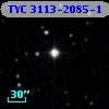 TYC 3113-2085-1