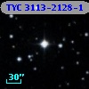 TYC 3113-2128-1