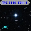 TYC 3118-604-1