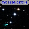TYC 3126-2177-1