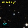 V* MS Lyr