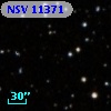 NSV 11371