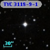 TYC 3118-9-1