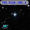 TYC 3118-295-1
