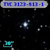 TYC 3123-813-1