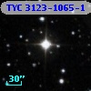 TYC 3123-1065-1