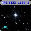 TYC 3123-1164-1