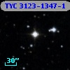 TYC 3123-1347-1