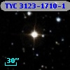 TYC 3123-1710-1