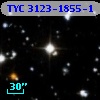 TYC 3123-1855-1