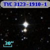 TYC 3123-1910-1
