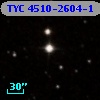 TYC 4510-2604-1