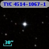 TYC 4514-1067-1