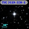 TYC 3119-320-1