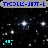 TYC 3119-1077-1
