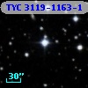 TYC 3119-1163-1