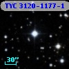 TYC 3120-1177-1