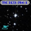TYC 3123-784-1