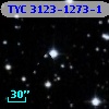TYC 3123-1273-1