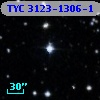 TYC 3123-1306-1