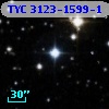 TYC 3123-1599-1