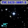 TYC 3123-1607-1
