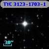 TYC 3123-1703-1