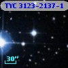 TYC 3123-2137-1