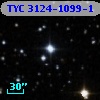 TYC 3124-1099-1