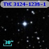 TYC 3124-1238-1
