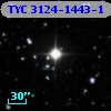 TYC 3124-1443-1