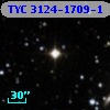 TYC 3124-1709-1