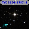 TYC 3124-1787-1
