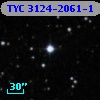 TYC 3124-2061-1