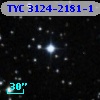 TYC 3124-2181-1