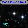 TYC 3124-2210-1