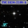 TYC 3124-2238-1