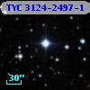 TYC 3124-2497-1