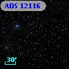 ADS 12116