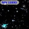NSV 11893