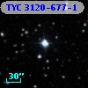 TYC 3120-677-1