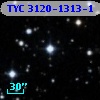 TYC 3120-1313-1