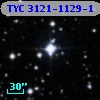 TYC 3121-1129-1