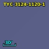 TYC 3124-1120-1