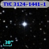 TYC 3124-1441-1