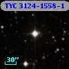 TYC 3124-1558-1